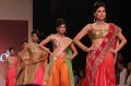 india_international_jewellery_week_2013_iijw_photos_8f3922e