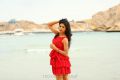 Actress Sushma Raj in India Pakistan Movie Photos