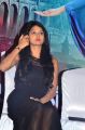 Actress Sushma Raj @ India Pakistan Movie Press Meet Stills