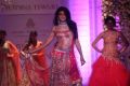 Jacqueline Fernandez walks for Jyotsna Tiwari at the Aamby Valley IBFW 2013