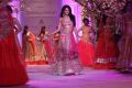 Jacqueline Fernandez walks for Jyotsna Tiwari at the Aamby Valley IBFW 2013