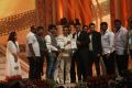 Indian Cinema 100 Years Celebrations Day 2 Photos