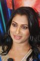Tamil Actress Malavika @ Indian Sensation 2014 Press Meet Stills
