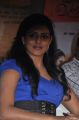 Tamil Actress Iniya New Hot Photos at Kan Pesum Varthaigal Press Meet