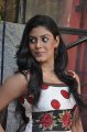 Iniya Cute Photo Shoot Stills