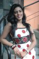 Iniya Cute Photo Shoot Stills