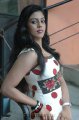 Iniya Cute Photo Shoot Stills