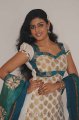 Iniya Cute Photoshoot Stills