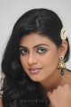 Iniya Cute Photoshoot Stills