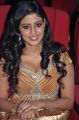 Tamil Actress Iniya Spicy Hot Photos