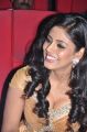 Tamil Actress Iniya New Hot Photos