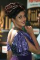 Tamil Actress Iniya Hot Blue Long Dress Pics @ IIFA Utsavam 2017