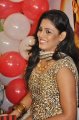 Iniya Latest Stills