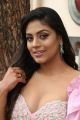 Actress Iniya Hot Photos @ Mamangam Movie Press Meet