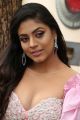 Actress Iniya New Photos @ Mamangam Movie Press Meet