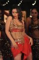 Hot Swetha Basu Prasad in Intelligent Idiots Movie Photos