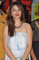Actress Swetha Basu Intelligent Idiots Movie Press Meet Stills