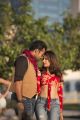 Sai Dharam Tej, Lavanya Tripathi in Intelligent Movie Stills HD