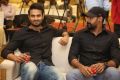 Sudheer Babu, Naveen Chandra @ Intlo Deyyam Nakem Bhayam Trailer Launch Stills