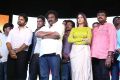 Sai Dharam Tej, VV Vinayak, Lavanya Tripathi @ Inttelligent Pre Release Event Photos