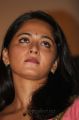 Actress Anushka at Irandam Ulagam Audio Launch Stills