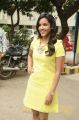 Actress Priya Anand @ Irumbu Kuthirai Movie Press Meet Stills