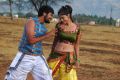 Saran Kumar, Aashitha in Isakki Movie Hot Stills