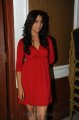 Isha Chawla Hot Pics in Red Dress