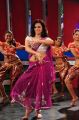 Actress Isha Chawla New Hot Stills in Pink Saree