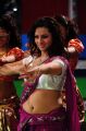 Actress Isha Chawla Hot New Stills in Pink Saree