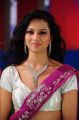 Actress Isha Chawla Hot Pink Saree Stills