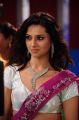 Actress Isha Chawla New Hot Stills in Pink Saree