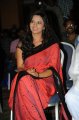 Isha Chawla in Saree @ Poola Rangadu Audio Launch