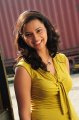 Isha Chawla Latest Photos