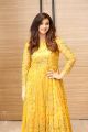 Actress Isha Chawla Photos in Golden Dress
