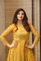 Actress Isha Chawla New Photos in Golden Dress