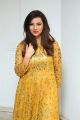 Beautiful Actress Isha Chawla Golden Dress Photos