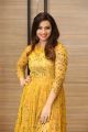 Actress Isha Chawla New Photos in Golden Dress