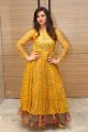 Actress Isha Chawla New Photos in Golden Dress
