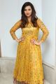 Actress Isha Chawla in Golden Dress Photos