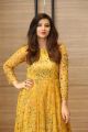 Actress Isha Chawla in Golden Dress Photos