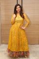 Actress Isha Chawla Photos in Golden Dress