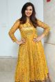 Actress Isha Chawla in Golden Dress Photos