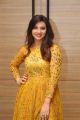 Beautiful Actress Isha Chawla Golden Dress Photos