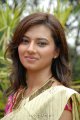 Isha Chawla New Saree Pics