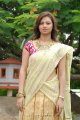 Isha Chawla New Saree Pics