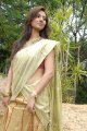 Isha Chawla New Saree Pics