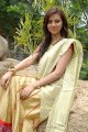 Isha Chawla New Saree Pics