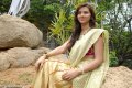 Isha Chawla New Saree Pics