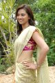 Isha Chawla New Saree Pics